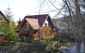 Cozy Holiday Home in Elend Harz with Private Sauna